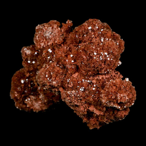 4.8" Aragonite Mineral Red Crystal Cluster Specimen Tazouta Morocco - Fossil Age Minerals