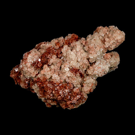 4" Aragonite Mineral Two Tone Red Crystal Cluster Specimen Tazouta Morocco