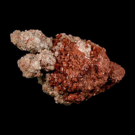4" Aragonite Mineral Two Tone Red Crystal Cluster Specimen Tazouta Morocco