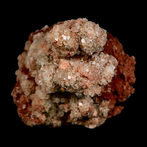 4" Aragonite Mineral Two Tone Red Crystal Cluster Specimen Tazouta Morocco - Fossil Age Minerals