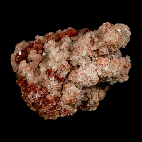 4" Aragonite Mineral Two Tone Red Crystal Cluster Specimen Tazouta Morocco - Fossil Age Minerals