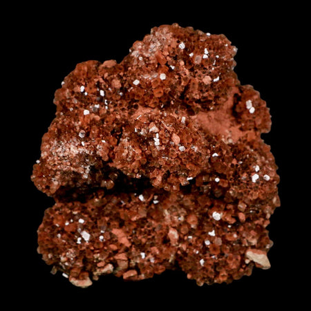 3.8" Aragonite Mineral Red Crystal Cluster Specimen Tazouta Morocco