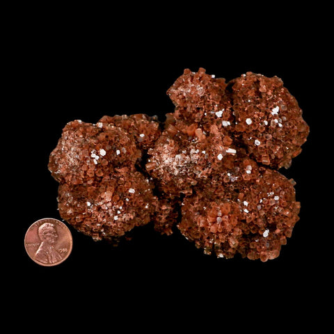 4" Aragonite Mineral Red Crystal Cluster Specimen Tazouta Morocco - Fossil Age Minerals