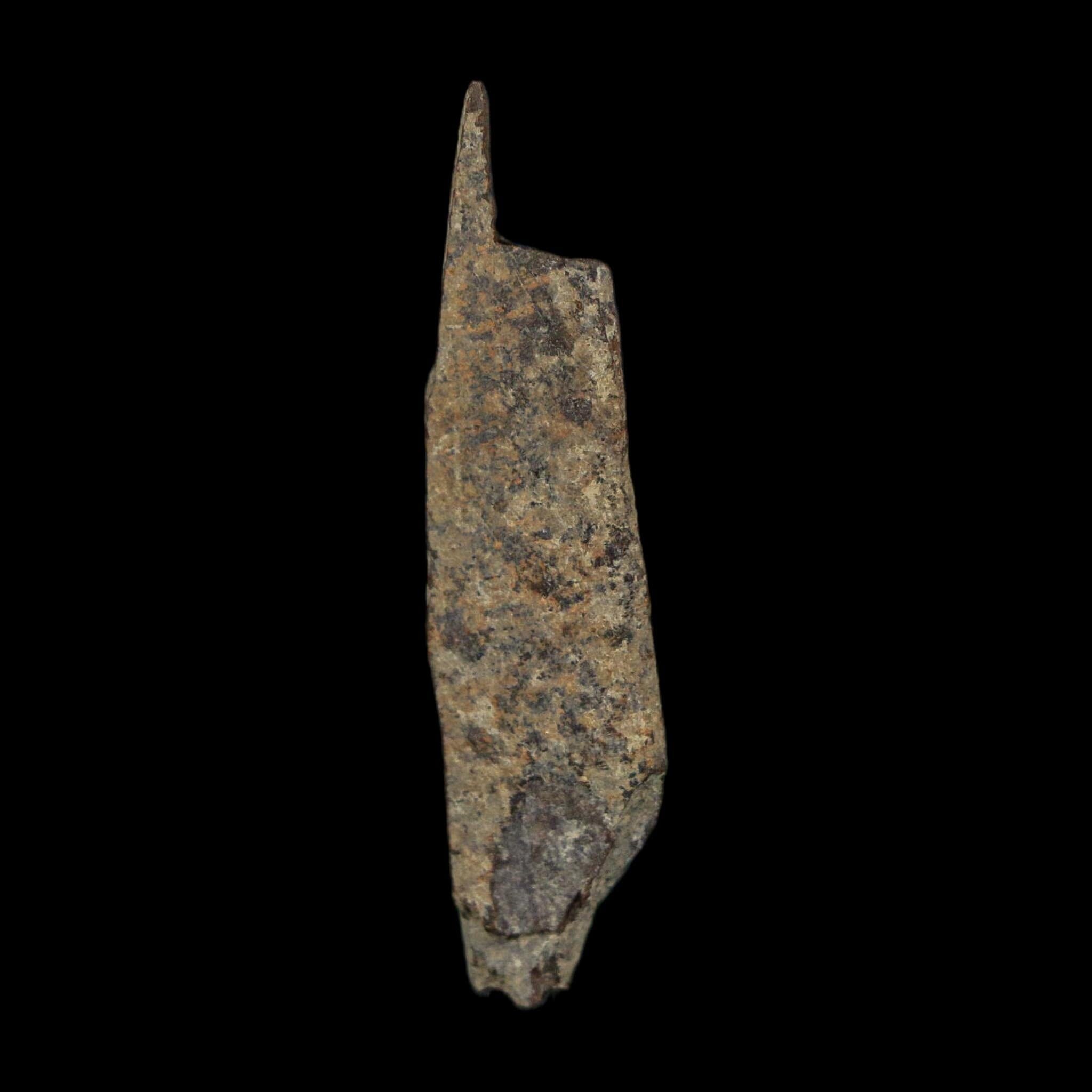 1.7" Tyrannosaurus Rex Fossil Bone Dinosaur Lance Creek Formation Wyoming COA - Fossil Age Minerals