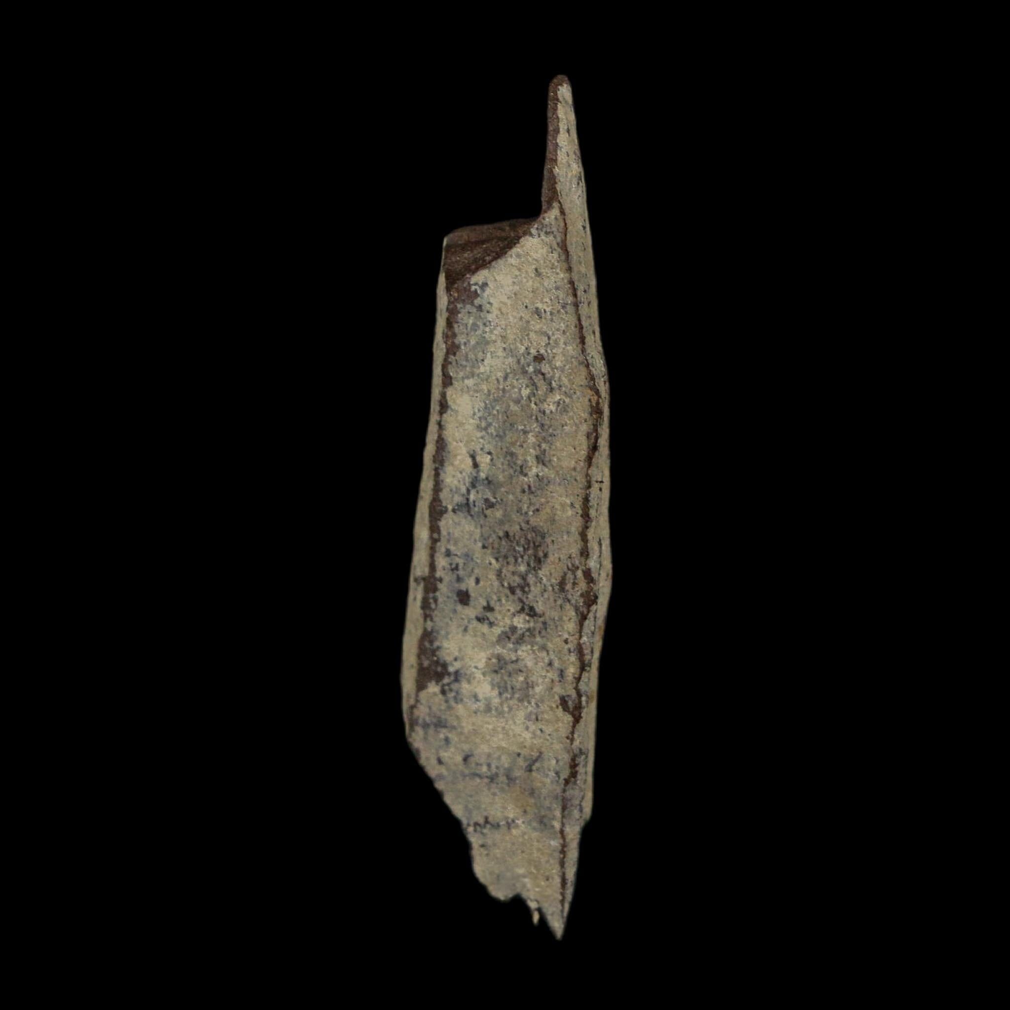 1.7" Tyrannosaurus Rex Fossil Bone Dinosaur Lance Creek Formation Wyoming COA - Fossil Age Minerals