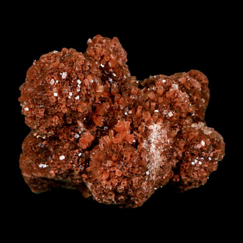4" Aragonite Mineral Red Crystal Cluster Specimen Tazouta Morocco - Fossil Age Minerals