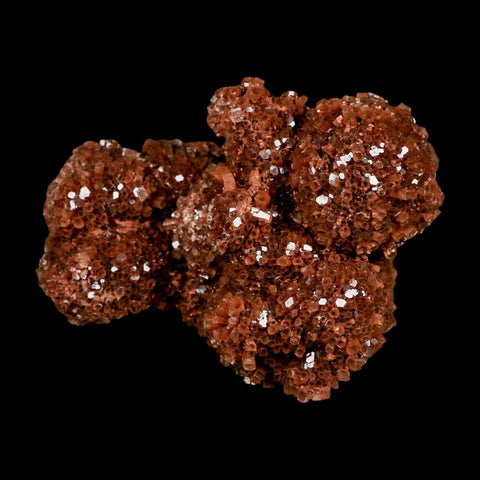 4" Aragonite Mineral Red Crystal Cluster Specimen Tazouta Morocco - Fossil Age Minerals
