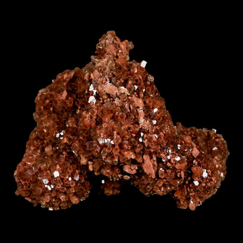 3.6" Aragonite Mineral Red Crystal Cluster Specimen Tazouta Morocco - Fossil Age Minerals