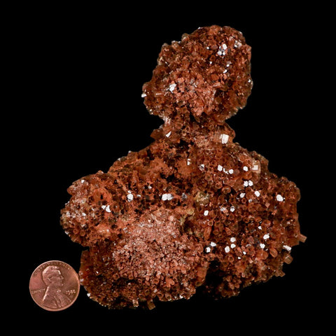 3.9" Aragonite Mineral Red Crystal Cluster Specimen Tazouta Morocco - Fossil Age Minerals