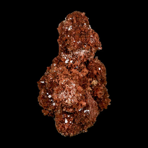 3.9" Aragonite Mineral Red Crystal Cluster Specimen Tazouta Morocco - Fossil Age Minerals