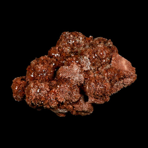 6.5" Aragonite Mineral Red Crystal Cluster Specimen Tazouta Morocco - Fossil Age Minerals