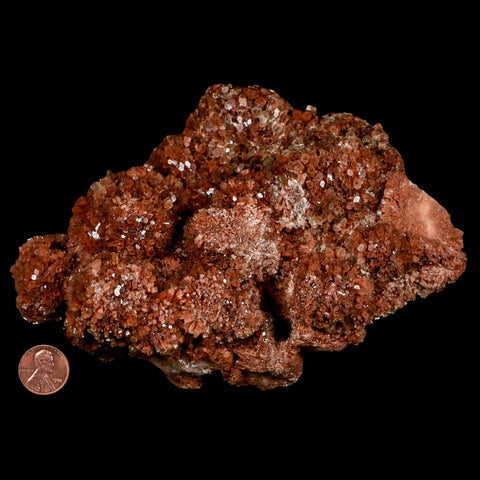 6.5" Aragonite Mineral Red Crystal Cluster Specimen Tazouta Morocco - Fossil Age Minerals