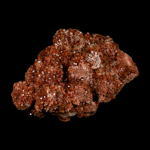 6.5" Aragonite Mineral Red Crystal Cluster Specimen Tazouta Morocco - Fossil Age Minerals