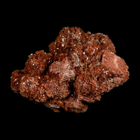 6.5" Aragonite Mineral Red Crystal Cluster Specimen Tazouta Morocco - Fossil Age Minerals