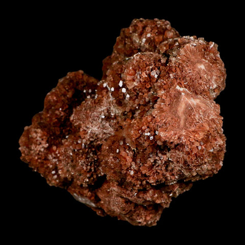 6.5" Aragonite Mineral Red Crystal Cluster Specimen Tazouta Morocco - Fossil Age Minerals