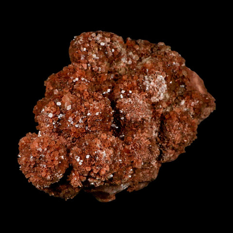6.5" Aragonite Mineral Red Crystal Cluster Specimen Tazouta Morocco - Fossil Age Minerals