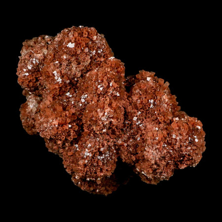 6.5" Aragonite Mineral Red Crystal Cluster Specimen Tazouta Morocco