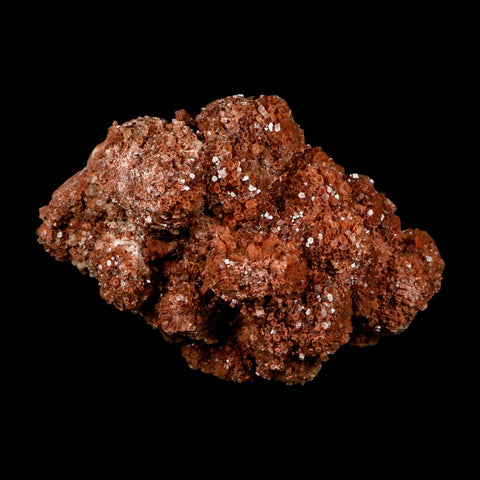 6.5" Aragonite Mineral Red Crystal Cluster Specimen Tazouta Morocco - Fossil Age Minerals