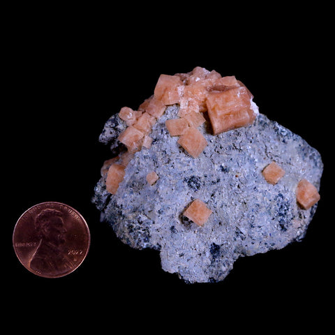 2.4" Orange Chabazite Zeolite Mineral Specimen Er Rachidia Province, Morocco - Fossil Age Minerals
