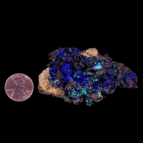 2.6" Sparkly Azurite Crystals, Malachite Mineral Specimen Tiznit Morocco - Fossil Age Minerals