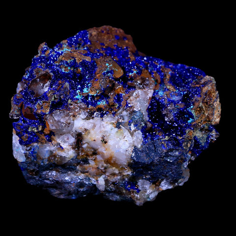 2.3" Sparkly Azurite Crystals On Quartz Crystal Mineral Specimen Tiznit Morocco - Fossil Age Minerals