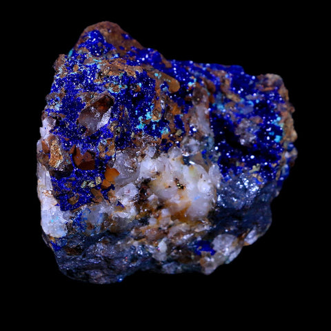 2.3" Sparkly Azurite Crystals On Quartz Crystal Mineral Specimen Tiznit Morocco - Fossil Age Minerals