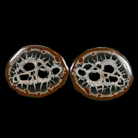 XL 4" Septarian Dragon Stone Polished Halves Nodule Mineral Specimen Morocco