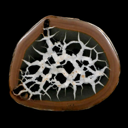 XL 3.6" Septarian Dragon Stone Polished Halves Nodule Mineral Specimen Morocco