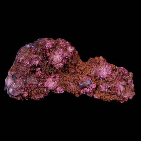 2" Erythrite Pink Cobalt Crystal Mineral Specimen Atlas Mountains, Morocco - Fossil Age Minerals