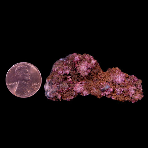 2" Erythrite Pink Cobalt Crystal Mineral Specimen Atlas Mountains, Morocco - Fossil Age Minerals