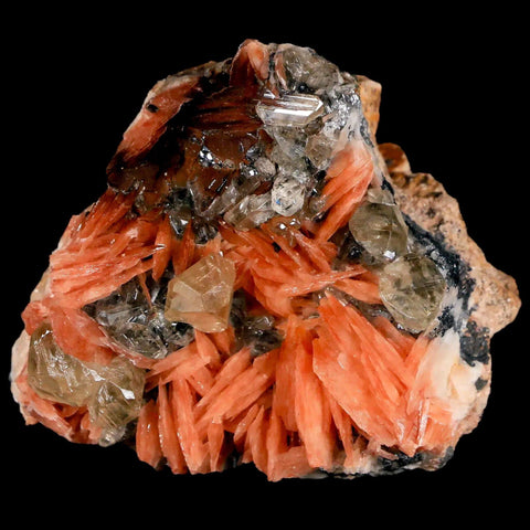 2.2" Light Orange Barite Blades, Cerussite Crystals, Galena Crystal Mineral Morocco - Fossil Age Minerals