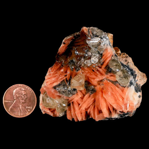 2.2" Light Orange Barite Blades, Cerussite Crystals, Galena Crystal Mineral Morocco - Fossil Age Minerals