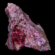 1.3" Erythrite Pink Cobalt Crystal Mineral Specimen Atlas Mountains, Morocco