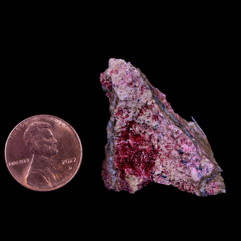 1.3" Erythrite Pink Cobalt Crystal Mineral Specimen Atlas Mountains, Morocco - Fossil Age Minerals