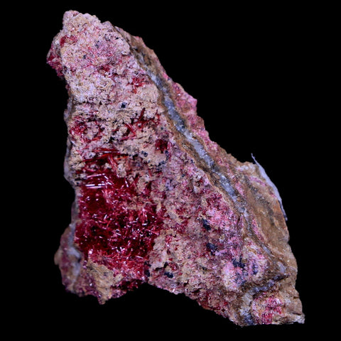 1.3" Erythrite Pink Cobalt Crystal Mineral Specimen Atlas Mountains, Morocco - Fossil Age Minerals