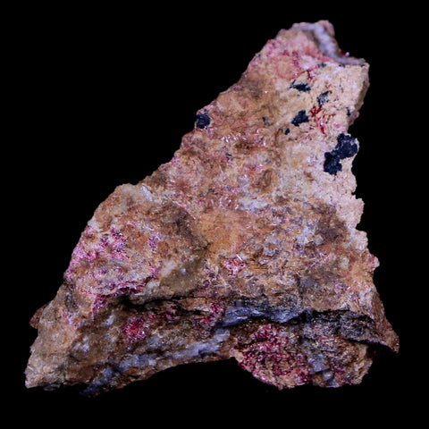 1.3" Erythrite Pink Cobalt Crystal Mineral Specimen Atlas Mountains, Morocco - Fossil Age Minerals
