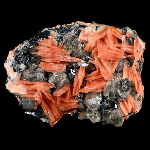 2.1" Light Orange Barite Blades, Cerussite Crystals, Galena Crystal Mineral Morocco - Fossil Age Minerals