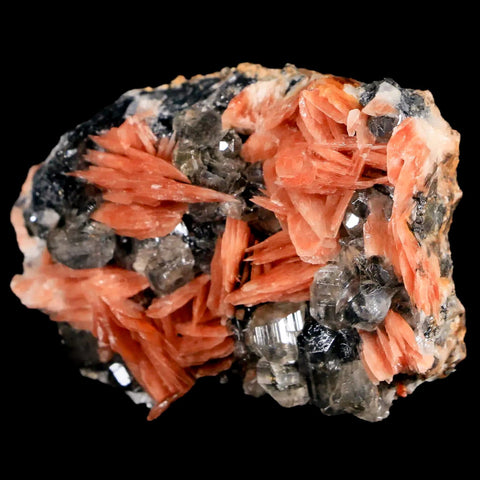 2.1" Light Orange Barite Blades, Cerussite Crystals, Galena Crystal Mineral Morocco - Fossil Age Minerals