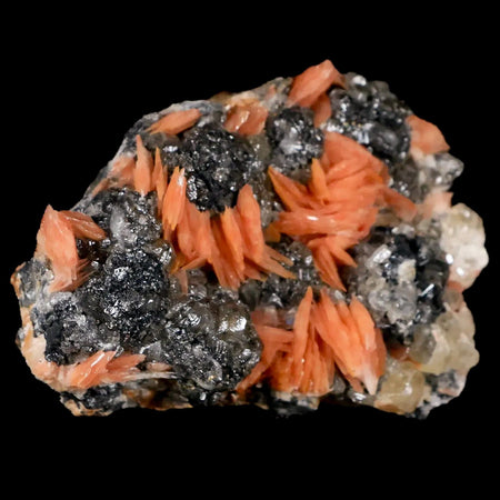 2.7" Light Orange Barite Blades, Cerussite Crystals, Galena Crystal Mineral Morocco