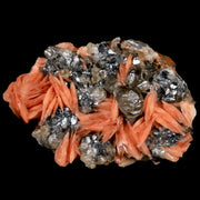 2.7" Light Orange Barite Blades, Cerussite Crystals, Galena Crystal Mineral Morocco