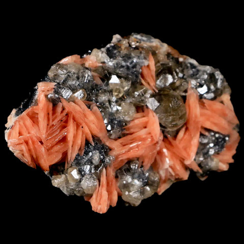 2.7" Light Orange Barite Blades, Cerussite Crystals, Galena Crystal Mineral Morocco - Fossil Age Minerals
