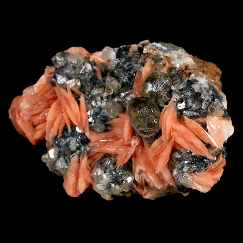 2.7" Light Orange Barite Blades, Cerussite Crystals, Galena Crystal Mineral Morocco - Fossil Age Minerals