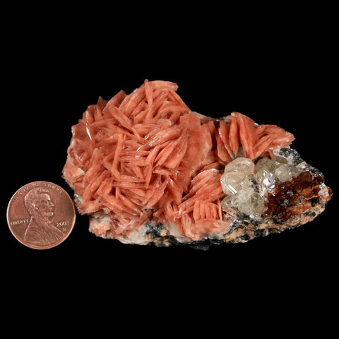2.9" Light Orange Barite Blades, Cerussite Crystals, Galena Crystal Mineral Morocco - Fossil Age Minerals