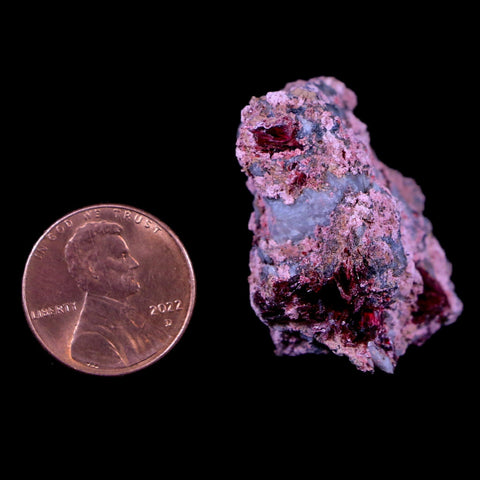 1.3" Erythrite Pink Cobalt Crystal Mineral Specimen Atlas Mountains, Morocco - Fossil Age Minerals