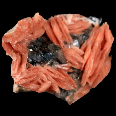 1.7" Light Orange Barite Blades, Cerussite Crystals, Galena Crystal Mineral Morocco