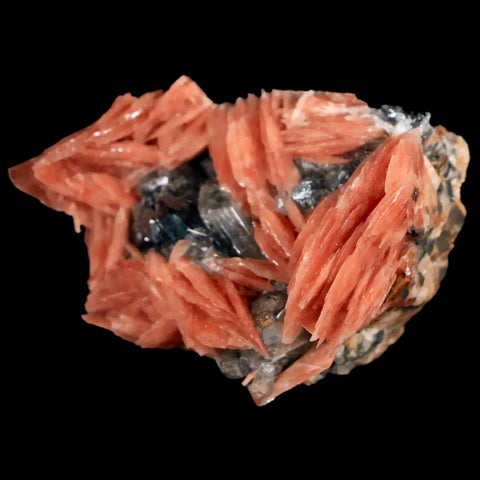 1.7" Light Orange Barite Blades, Cerussite Crystals, Galena Crystal Mineral Morocco - Fossil Age Minerals