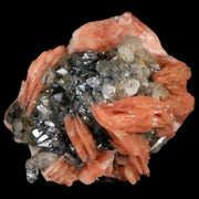 1.6" Light Orange Barite Blades, Cerussite Crystals, Galena Crystal Mineral Morocco