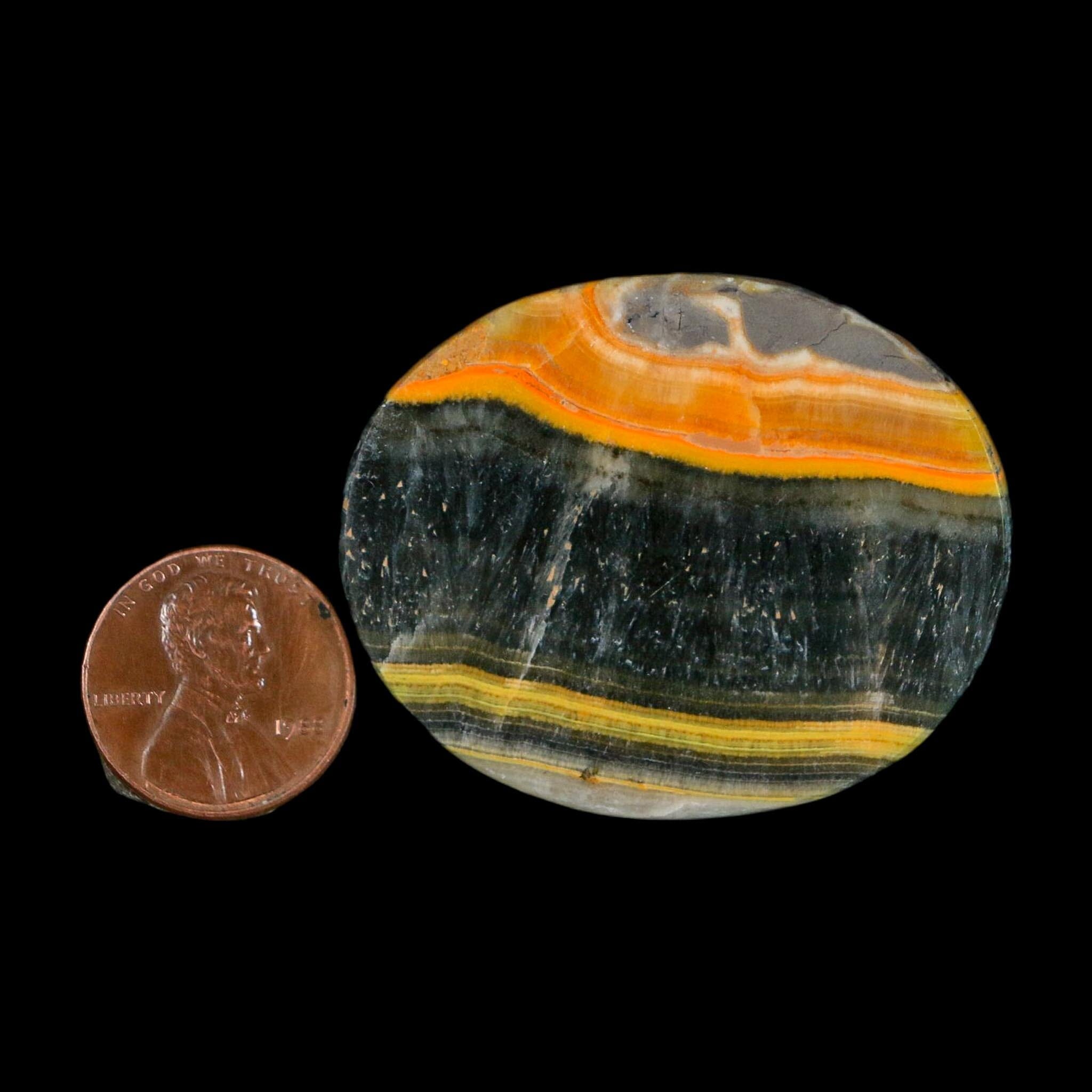 1.8" Bumblebee Jasper Natural Polished Mineral Palm Stone Java Indonesia - Fossil Age Minerals