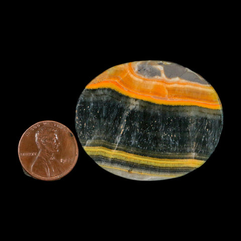 1.8" Bumblebee Jasper Natural Polished Mineral Palm Stone Java Indonesia