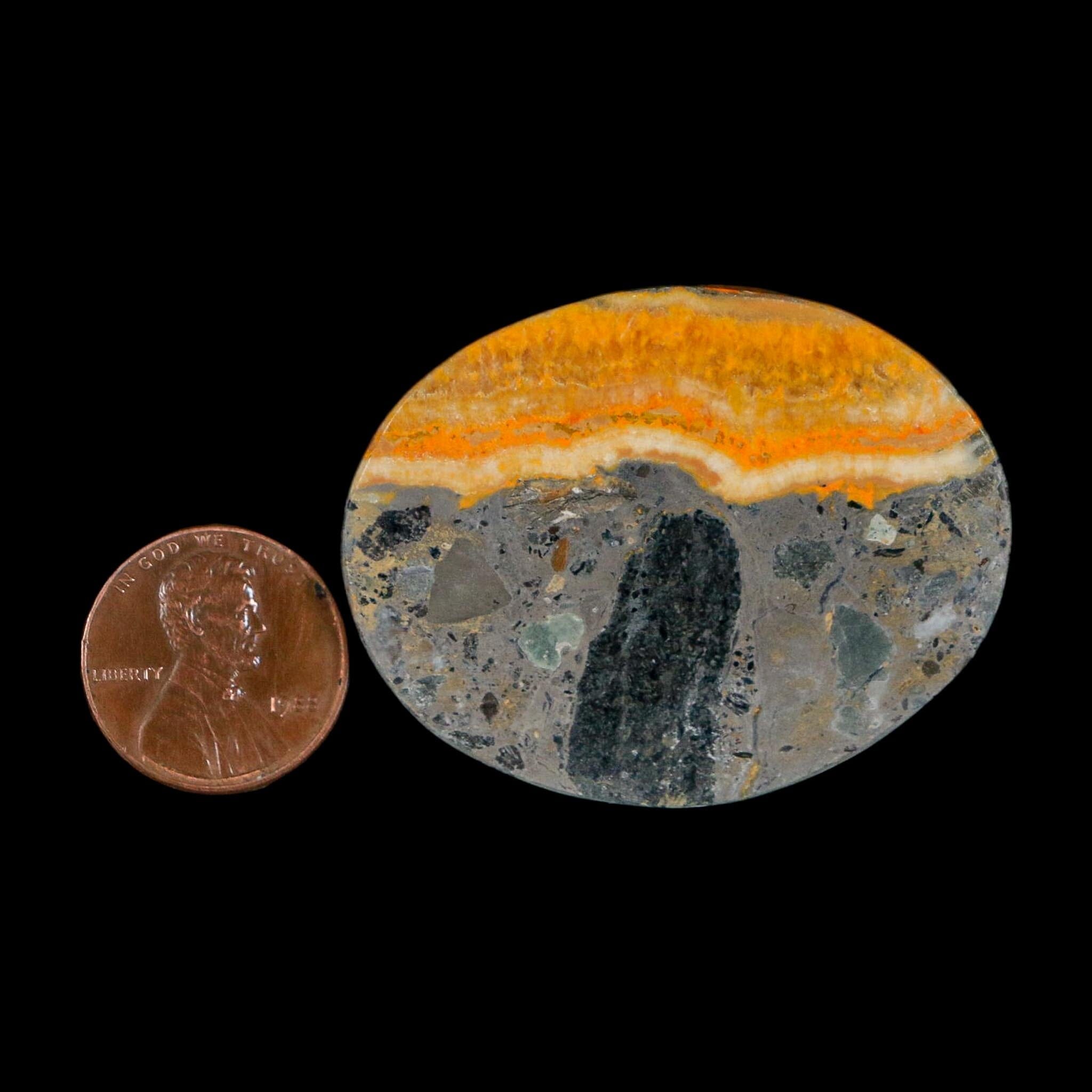 1.8" Bumblebee Jasper Natural Polished Mineral Palm Stone Java Indonesia - Fossil Age Minerals
